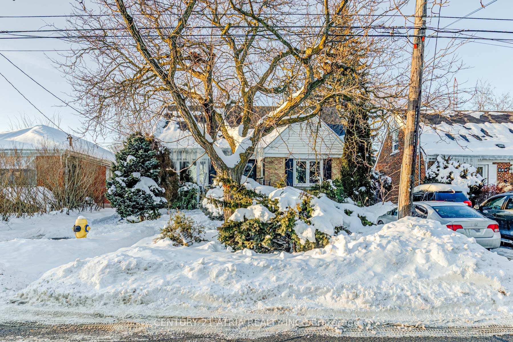 Photo de la propriété:  284 Bogert Ave  ON M2N 1L5 