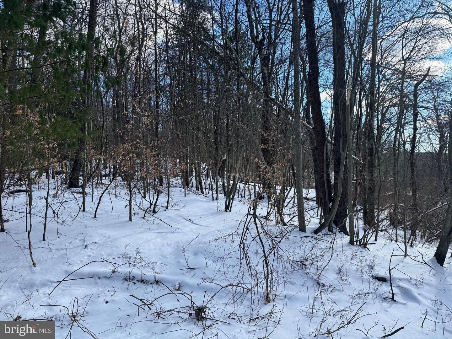 Property Photo: 0 River Court PA 18347