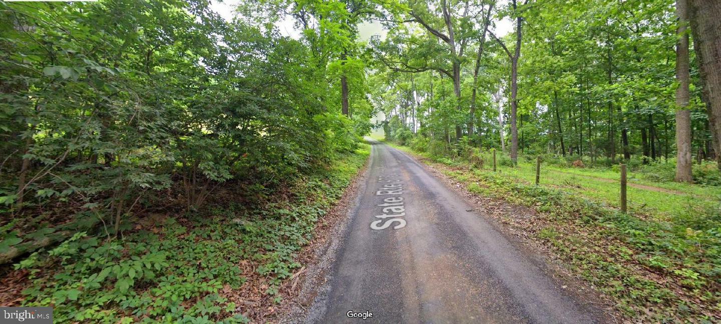 Property Photo:  310 Burnt Church Road  VA 22602 