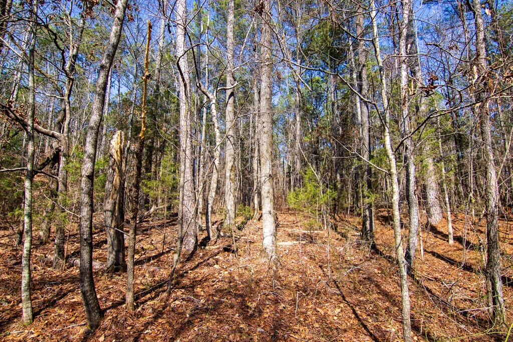 Property Photo:  0 Kings Gap Road  GA 31811 