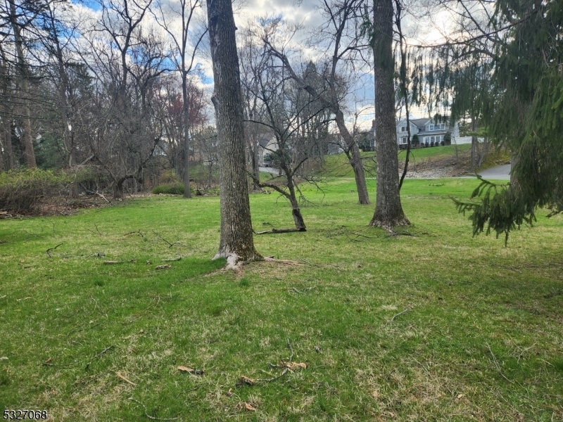 Property Photo: 185 Wilmore Rd NJ 07424