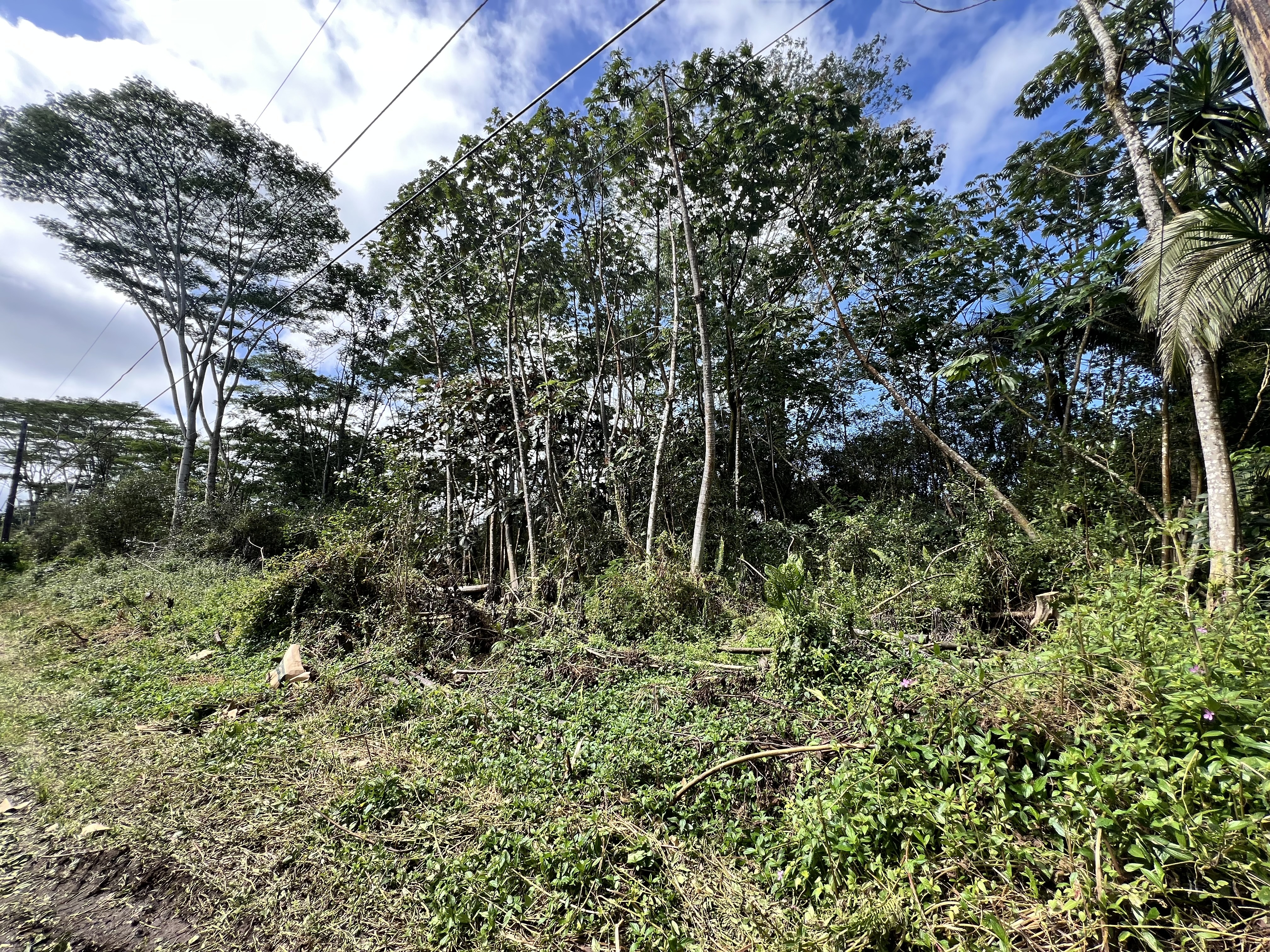 Property Photo:  Mauna Kea Rd  HI 96778 