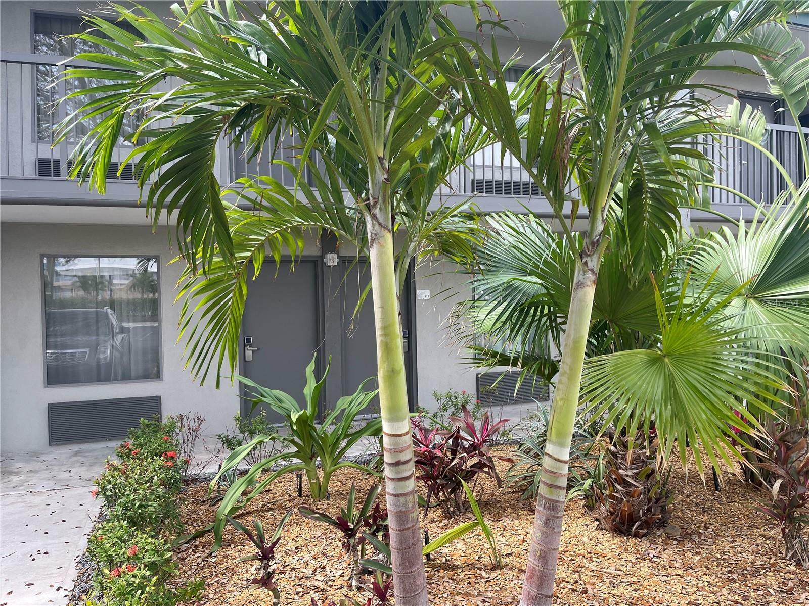 Property Photo:  7150 N Tamiami Trail S510  FL 34243 