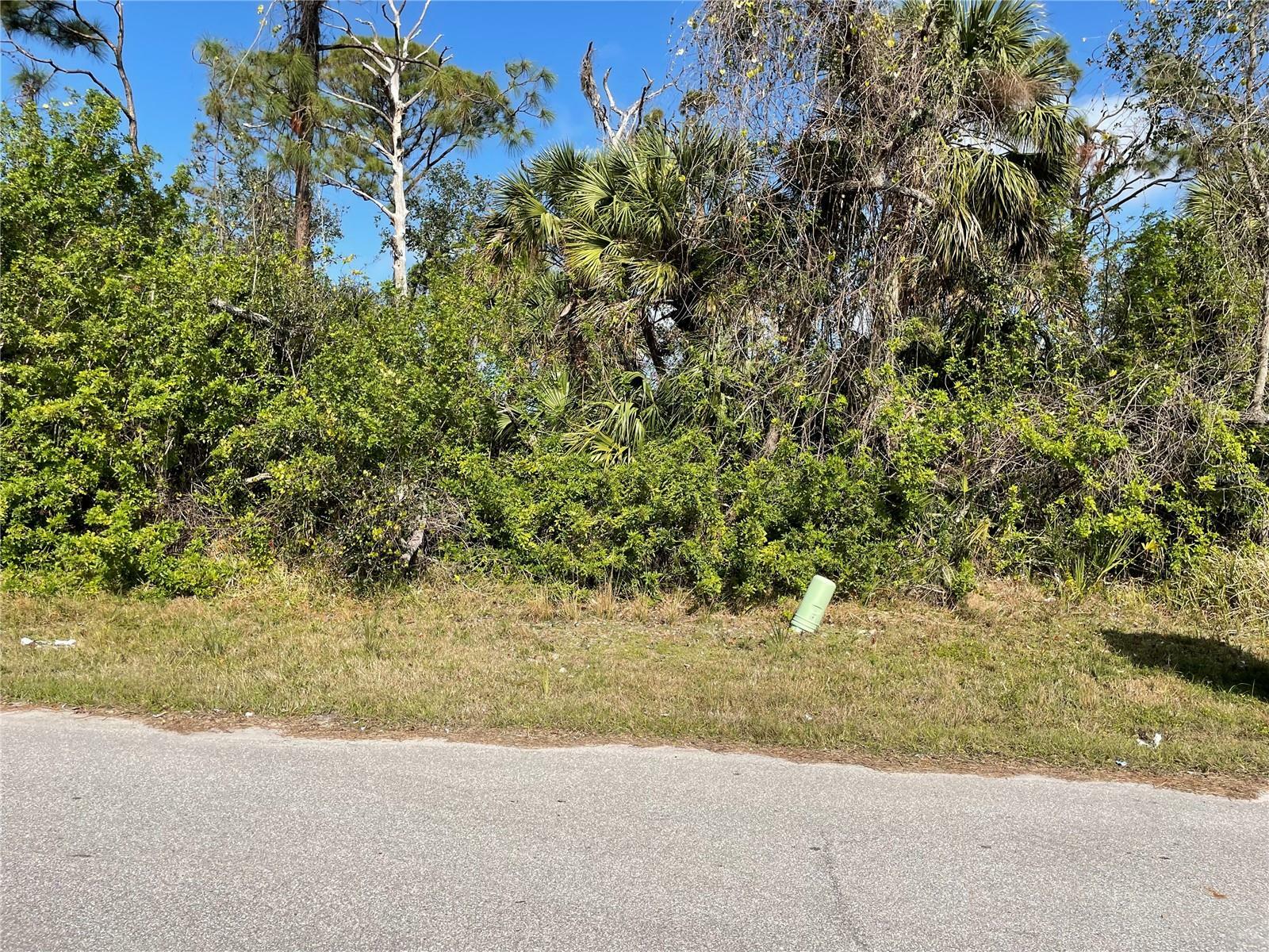 Property Photo:  106 Hawk Drive  FL 33947 