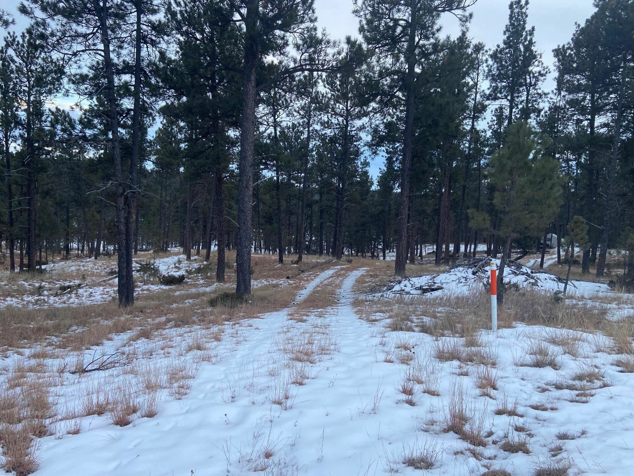 Property Photo:  Tract 59 Buffalo Butte Drive  SD 57747-6019 