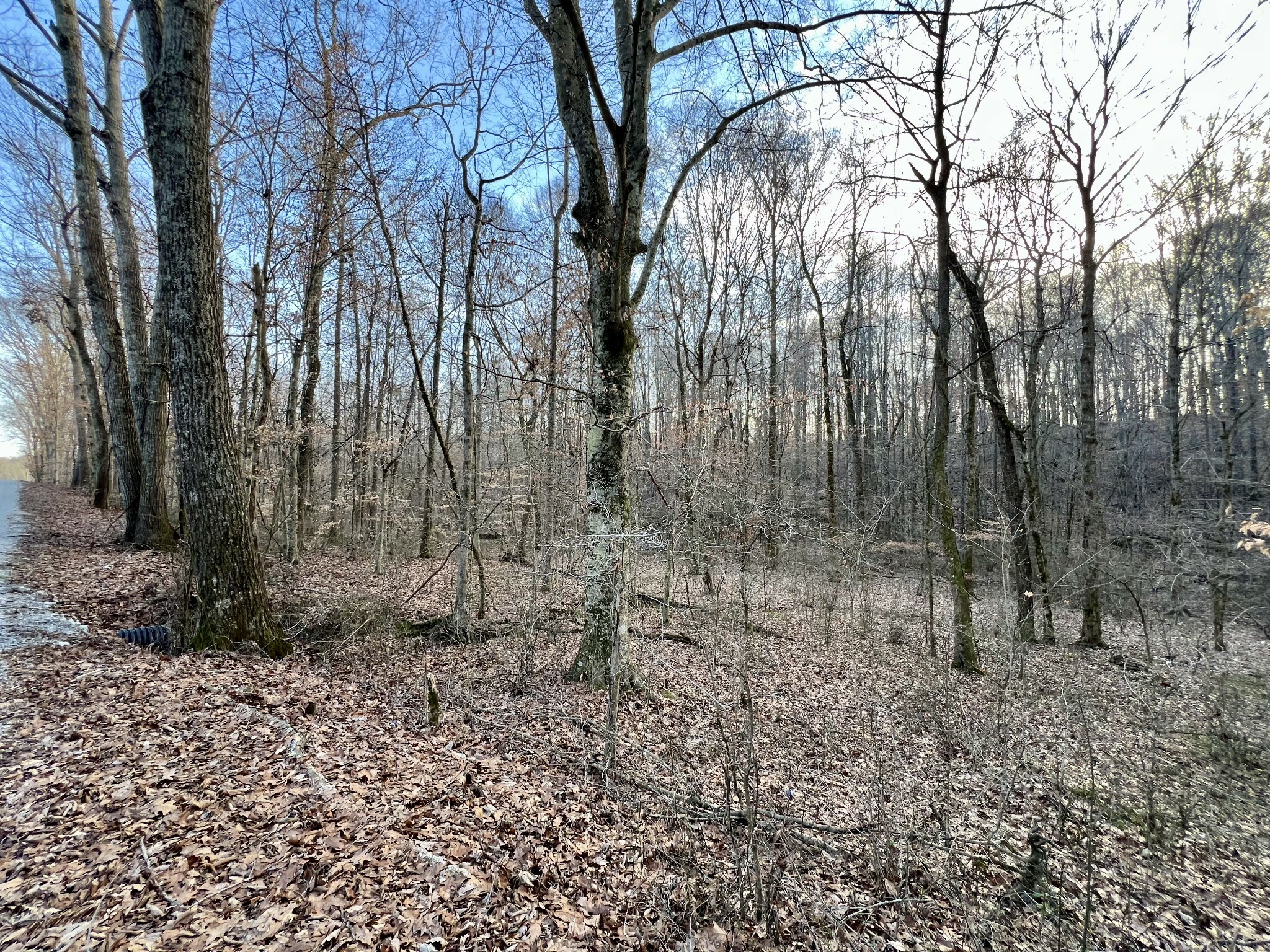 Property Photo:  0 Idaho Rd  TN 38468 