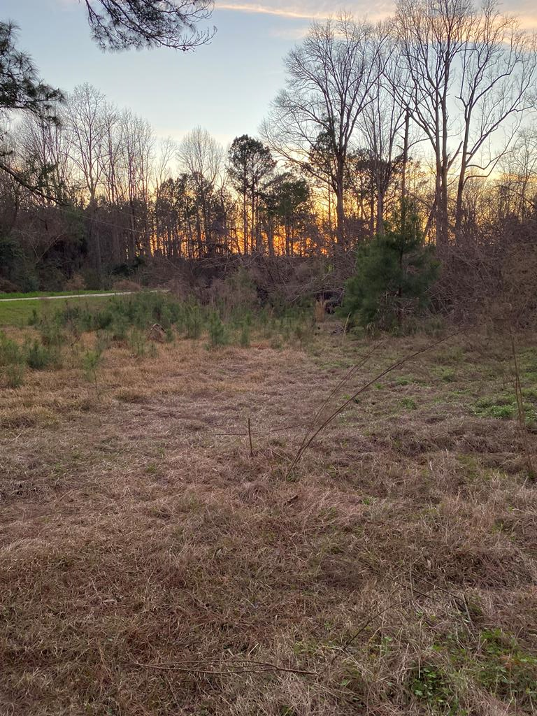 Property Photo: 1035 Williams Road GA 31625