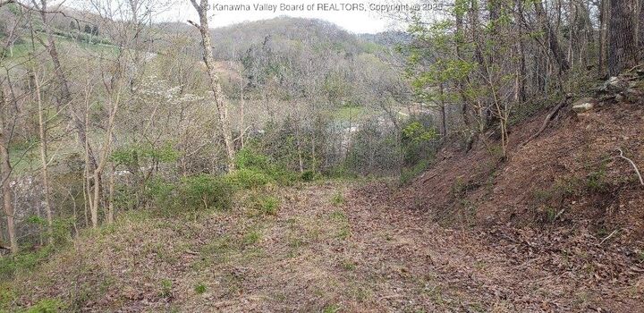 Property Photo:  463 Big Ben Bowen Highway  WV 25705 