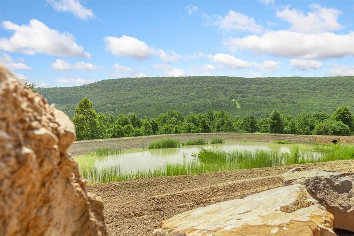 Property Photo: 86 Lots Round Mountain Estates AR 72601