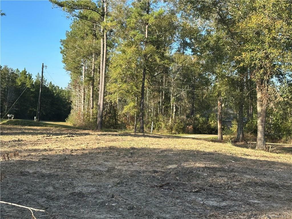 Property Photo:  Conway Rosteet Rd  LA 70657 