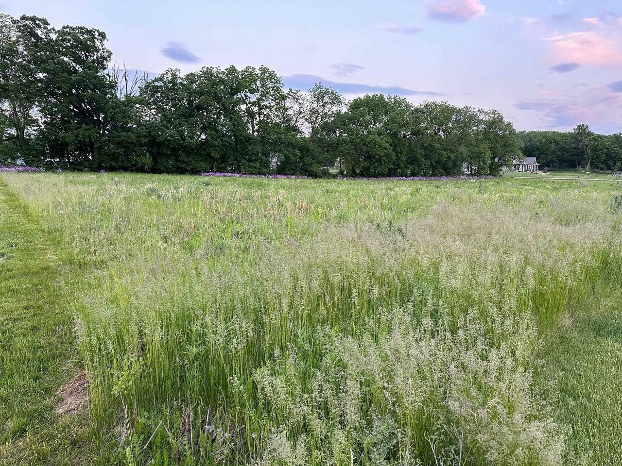 Property Photo:  Lot 83 Meadowwood Drive  WI 53545 
