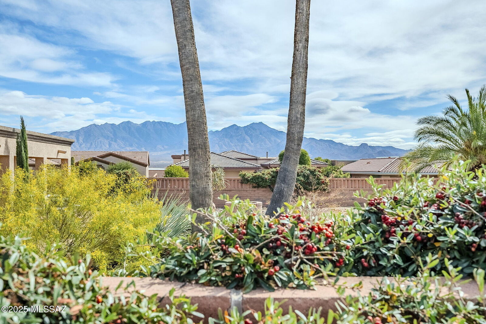 Property Photo:  4884 S Desert Sunset Drive  AZ 85622 