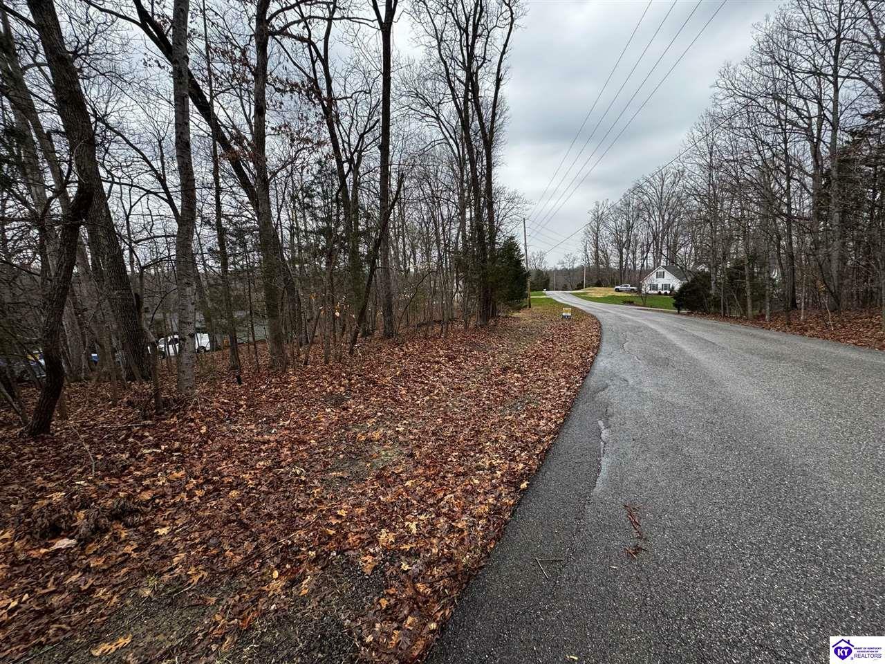 Property Photo: 874 Wildflower Ridge Road KY 40108