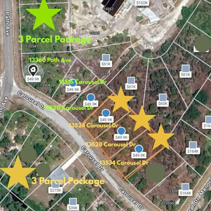 Property Photo:  13528 Carousel Drive  FL 33955 