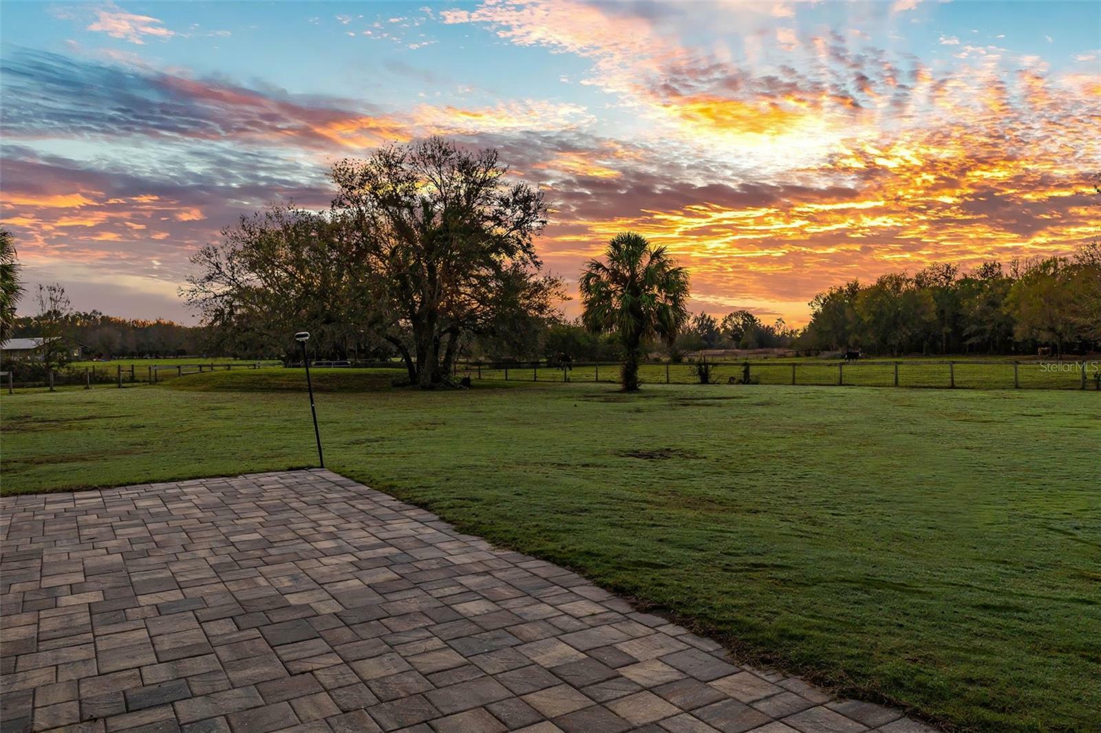 Property Photo: 10946 Gun Dog Way FL 33547