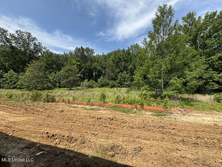 Property Photo: 4229 W Olivia Circle MS 38654