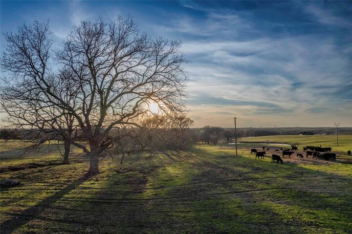 Property Photo:  14867 Farm To Market 274  TX 75476 