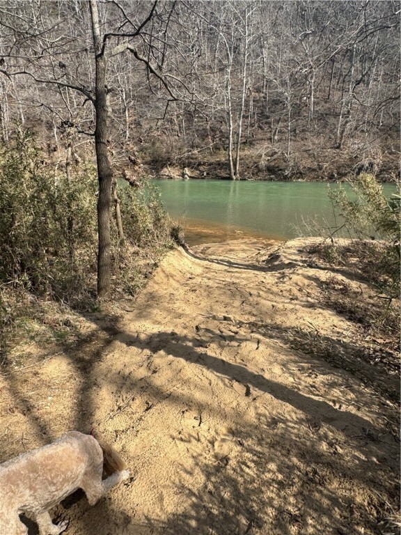 Property Photo:  100 River Run Road  AR 72632 
