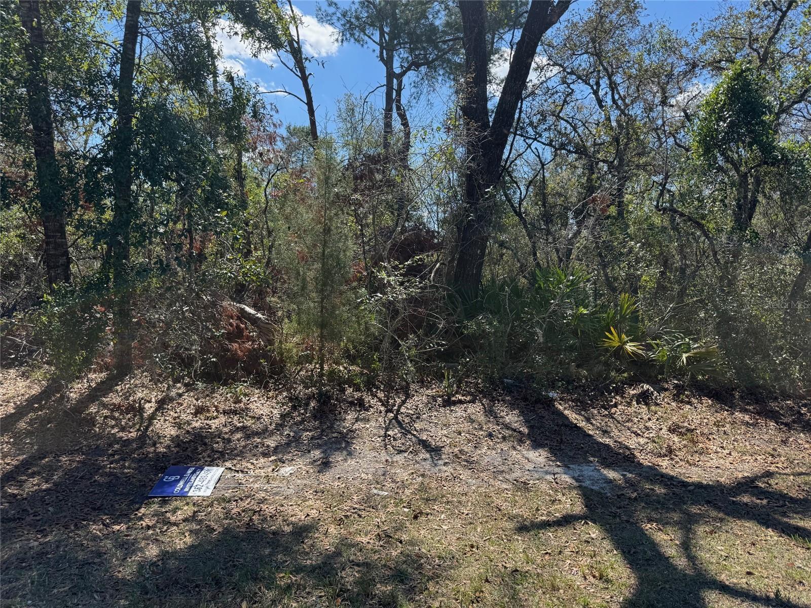 Lot 15 SW 139th Street Road  Ocala FL 34473 photo