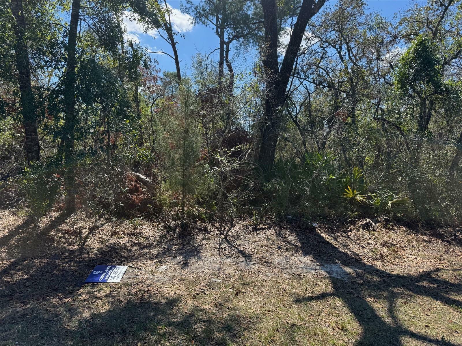 Property Photo:  Lot 15 SW 139th Street Road  FL 34473 