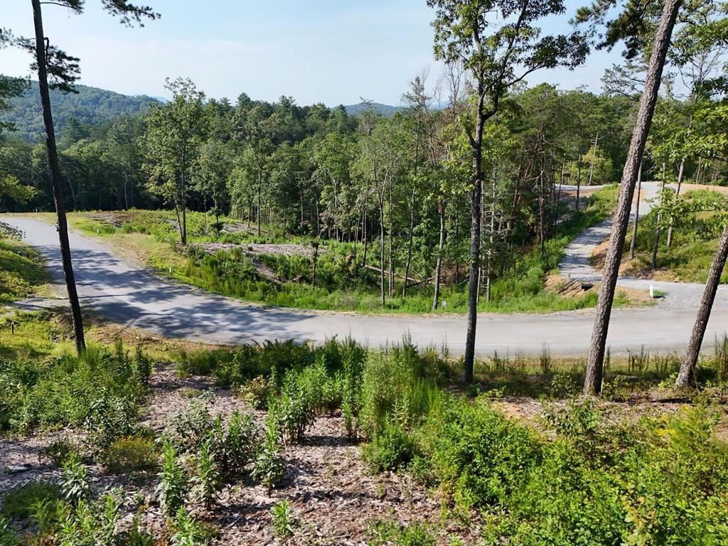 Property Photo: Lot 3 Mountain Laurel Ridge GA 30559