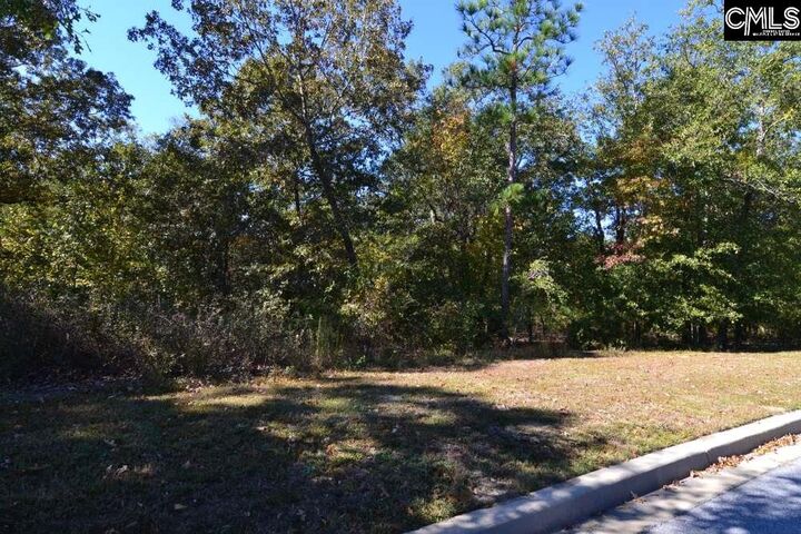 121 Montgomery Ridge  Blythewood SC 29016 photo