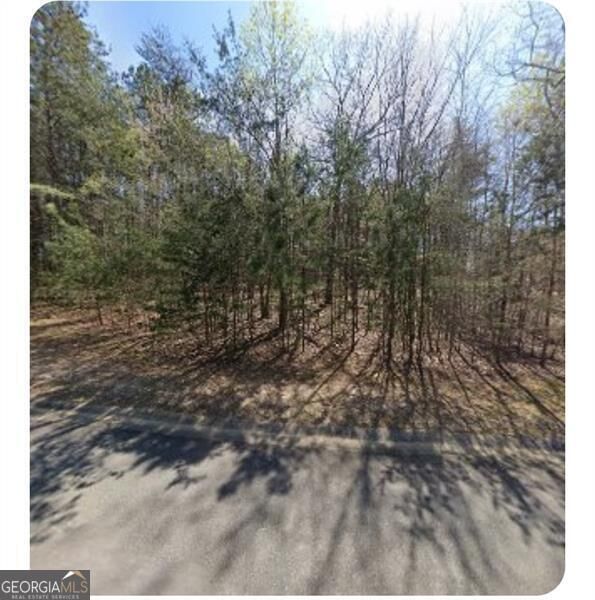 Property Photo: 535 Black Horse Circle GA 30114