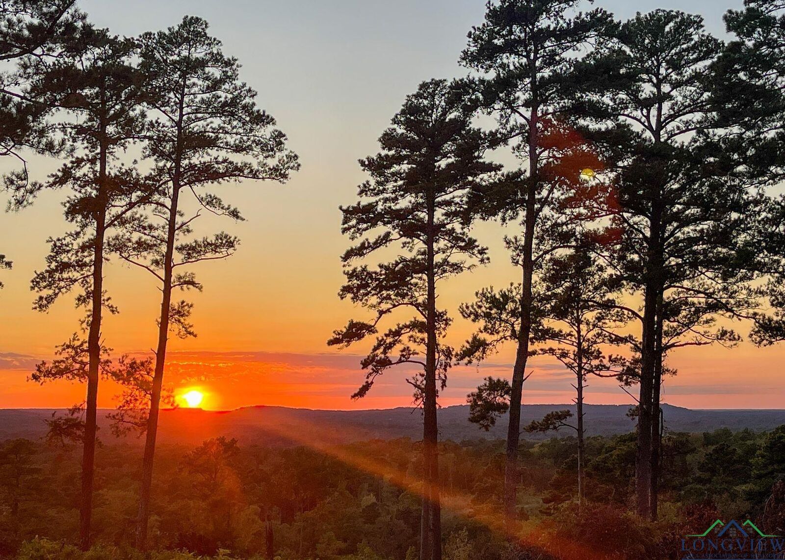 Property Photo:  0002 Hwy 729 Tract 2 S  TX 75668 