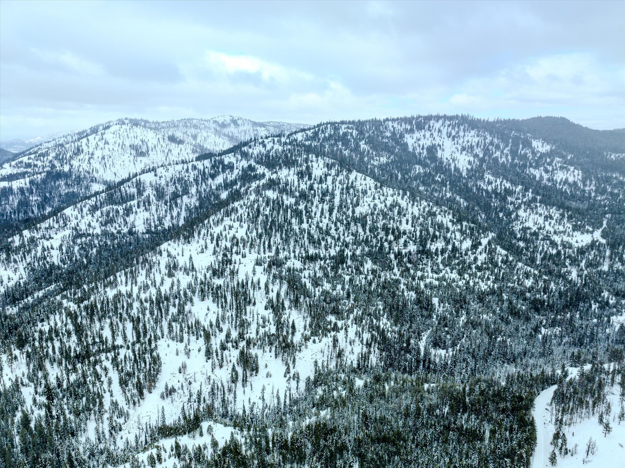 Property Photo: Nhn McGinnis Meadows - Bayhorse Road Section 1 MT 59923