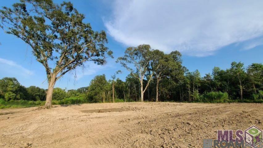 Property Photo: Poirrier Rd LA 70774