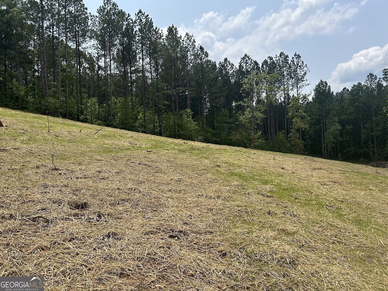Property Photo: 181 Riversong Road GA 30117