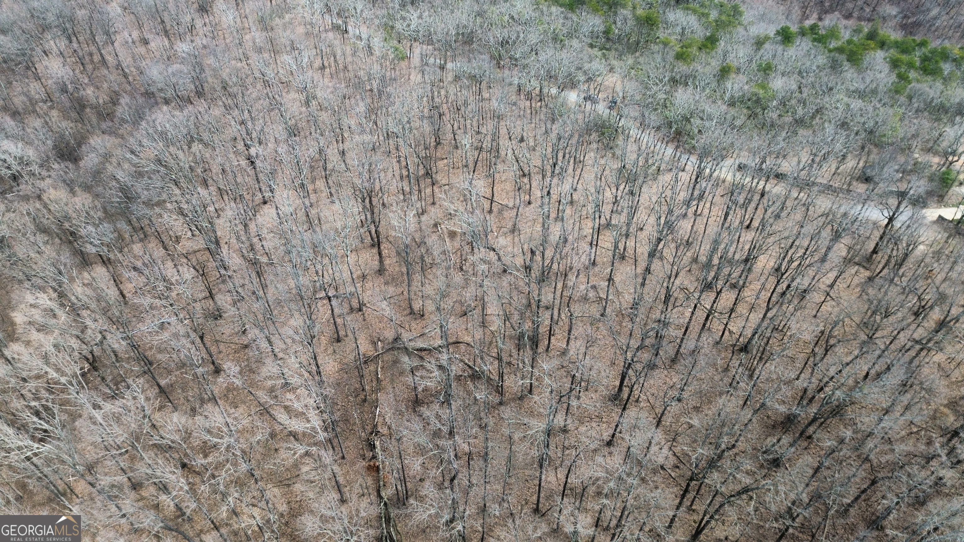 Property Photo:  0 Clearview Drive  GA 30175 