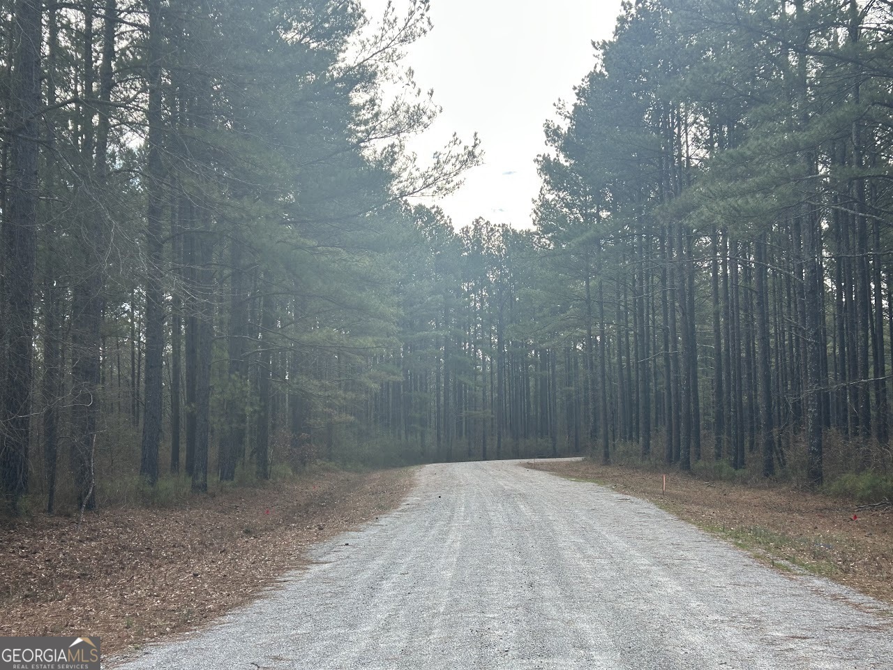 Property Photo:  208 Riversong Road  GA 30117 