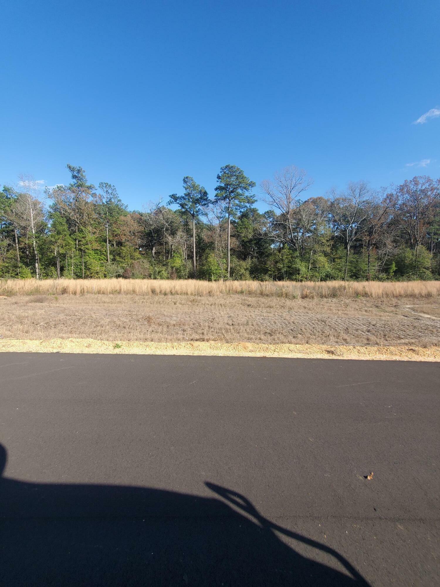 Property Photo: 14 Sandhill MS 39402