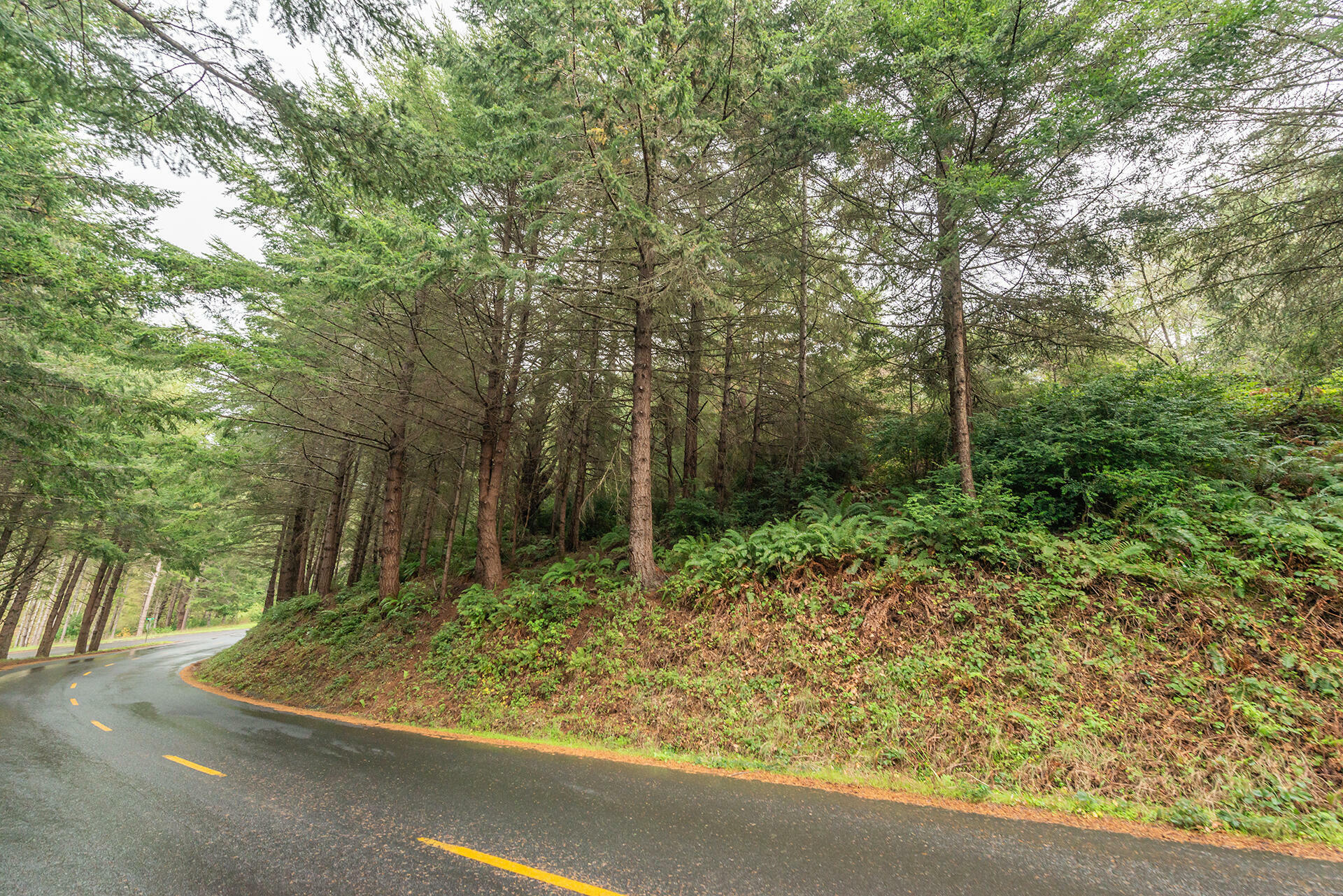 Property Photo: 710 Upper Pacific Drive CA 95589