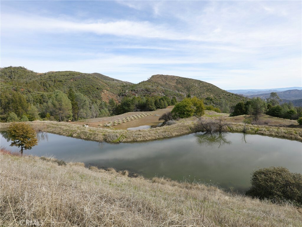 Property Photo:  11640 Dry Creek Road  CA 95461 