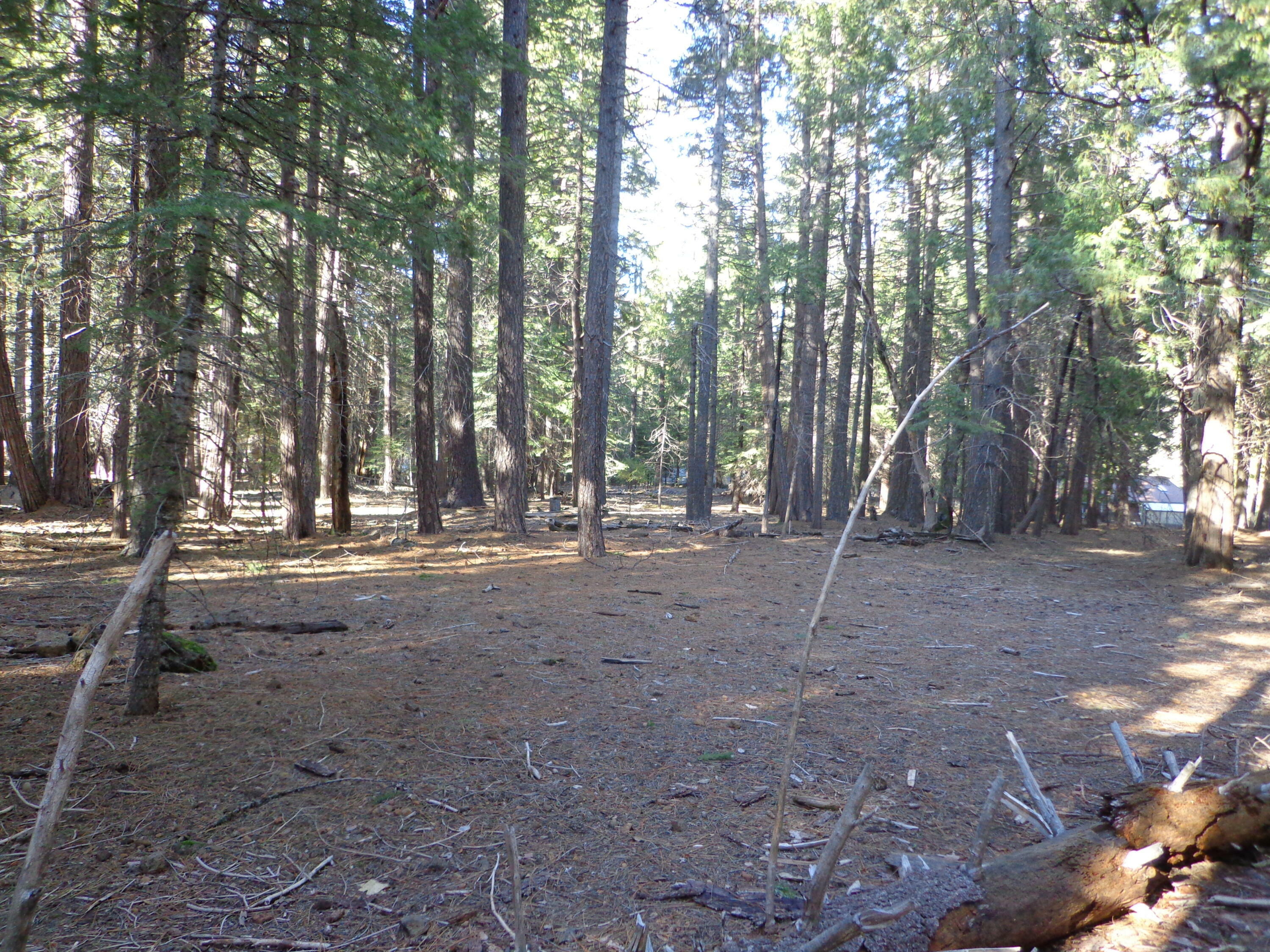 Property Photo:  Philippian Way  CA 96088 