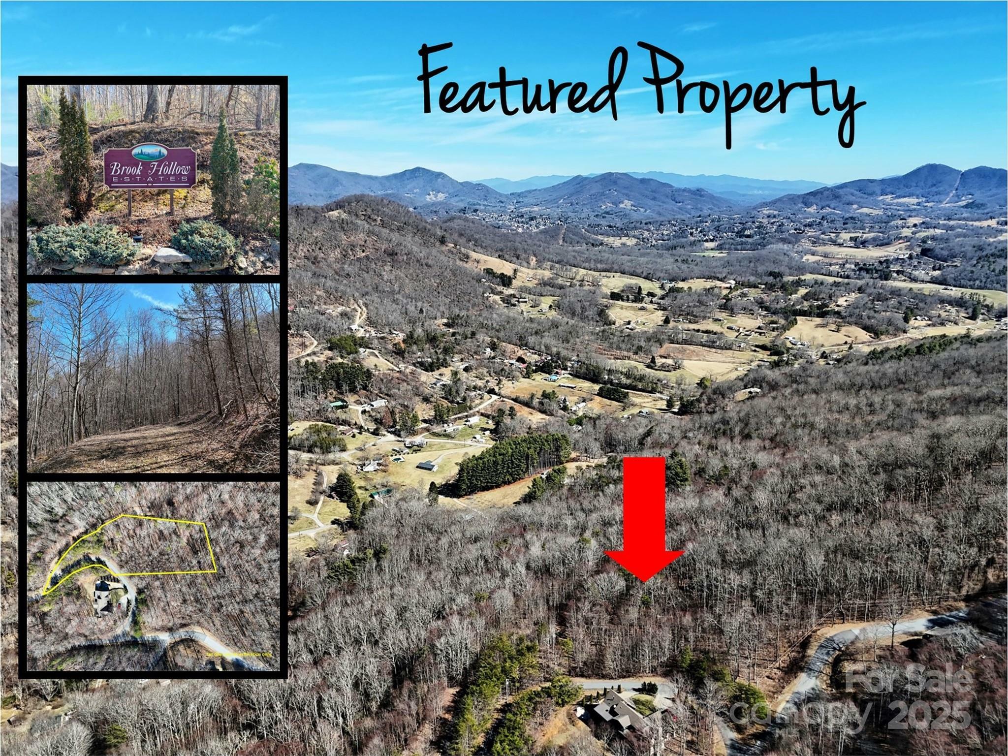 Property Photo:  00 Busters Drive 6  NC 28786 