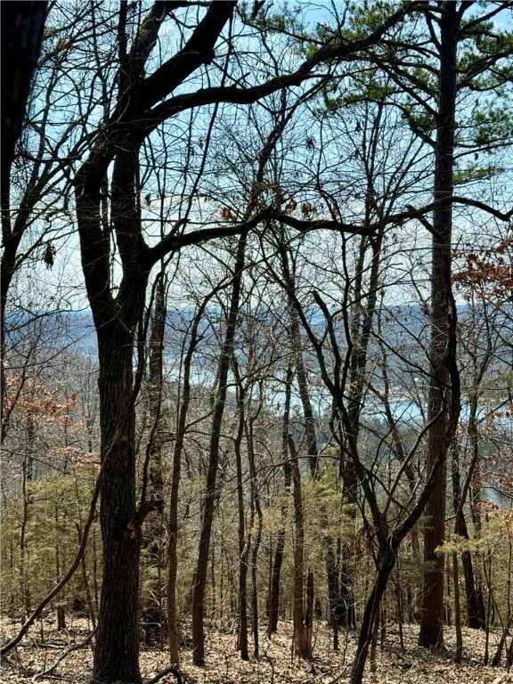 Lot 64 Rocky Ridge Place  Garfield AR 72732 photo
