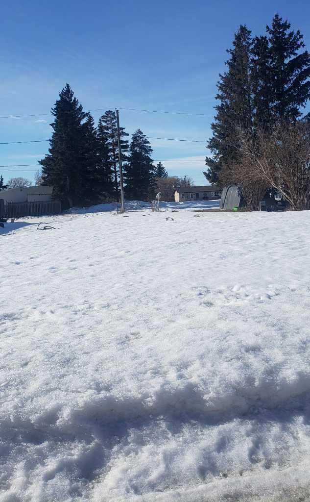 216 1 Street W  Lashburn SK S0M 1H0 photo