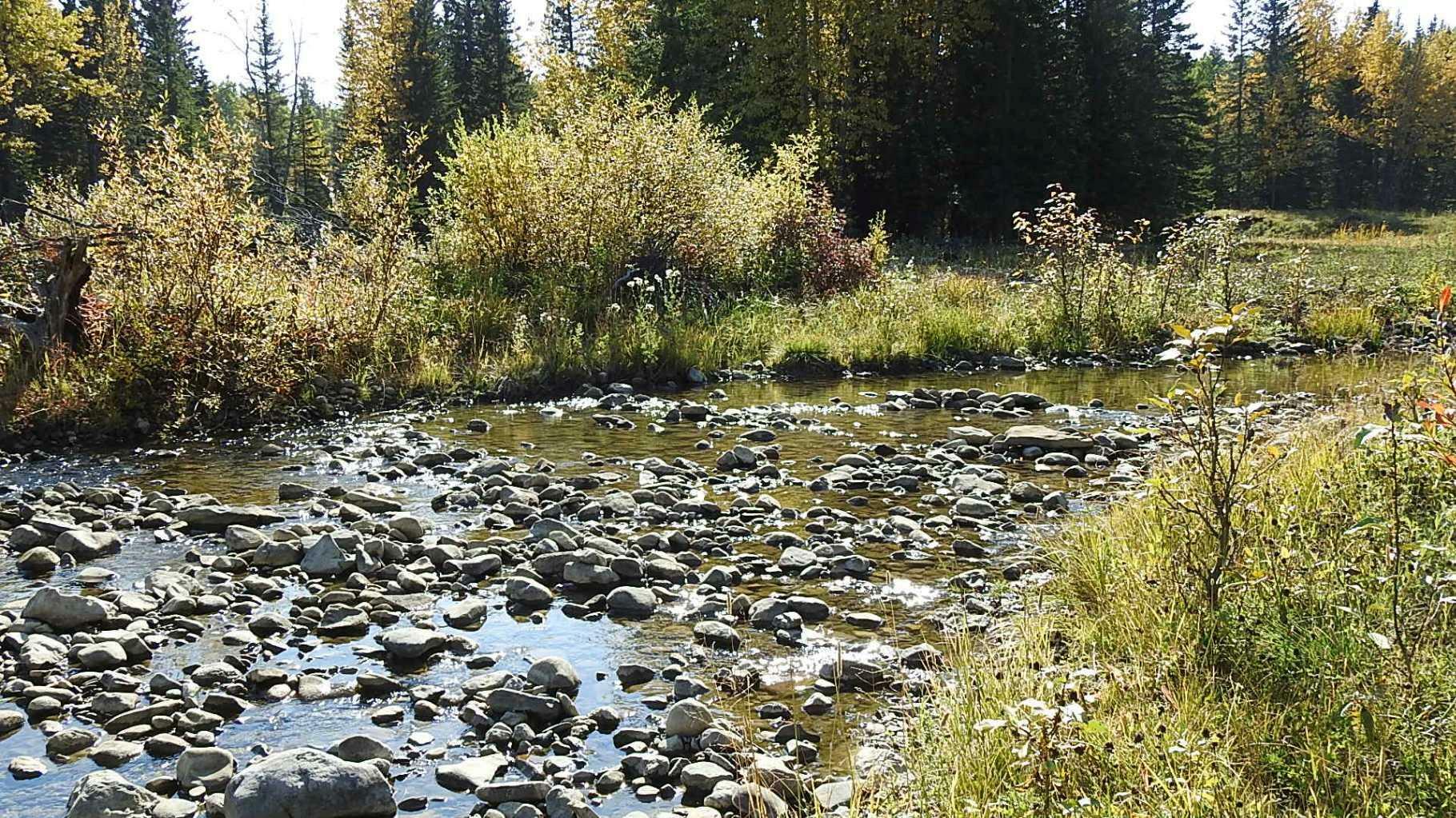 Property Photo:  108 Acres Bordering Kananaskis  AB T0L 1K0 