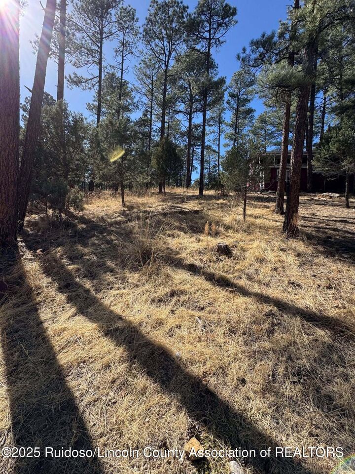 187 Juniper Road  Ruidoso NM 88345 photo
