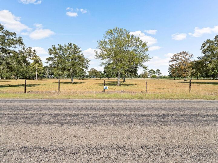 Property Photo: Lot 8 Moore Rd TX 77713