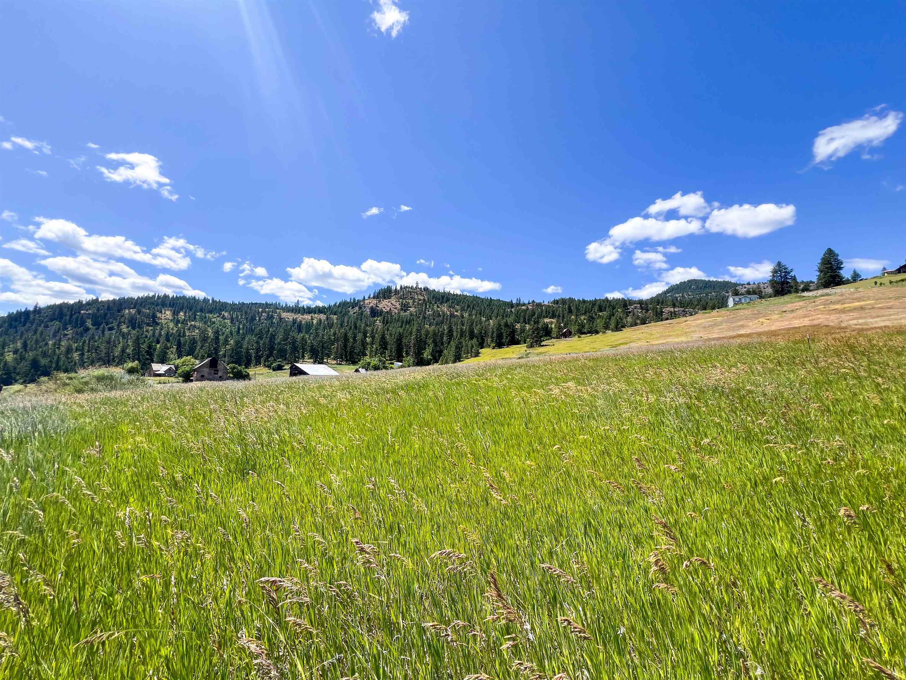 Property Photo:  842-Lot 2E Valley Westside Rd  WA 99114 