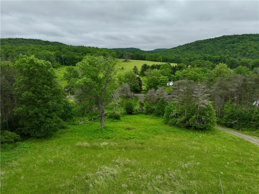 Property Photo: 320 Owl Creek Rd NY 14883