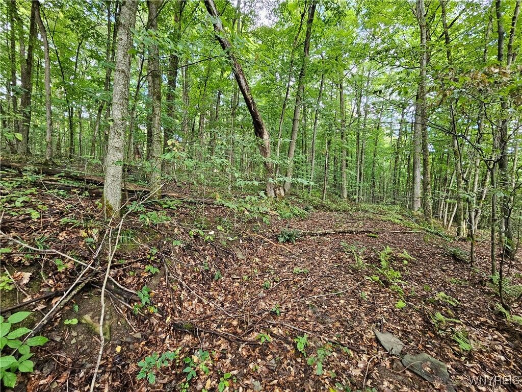 Property Photo: Dublin Terrace Road NY 14779