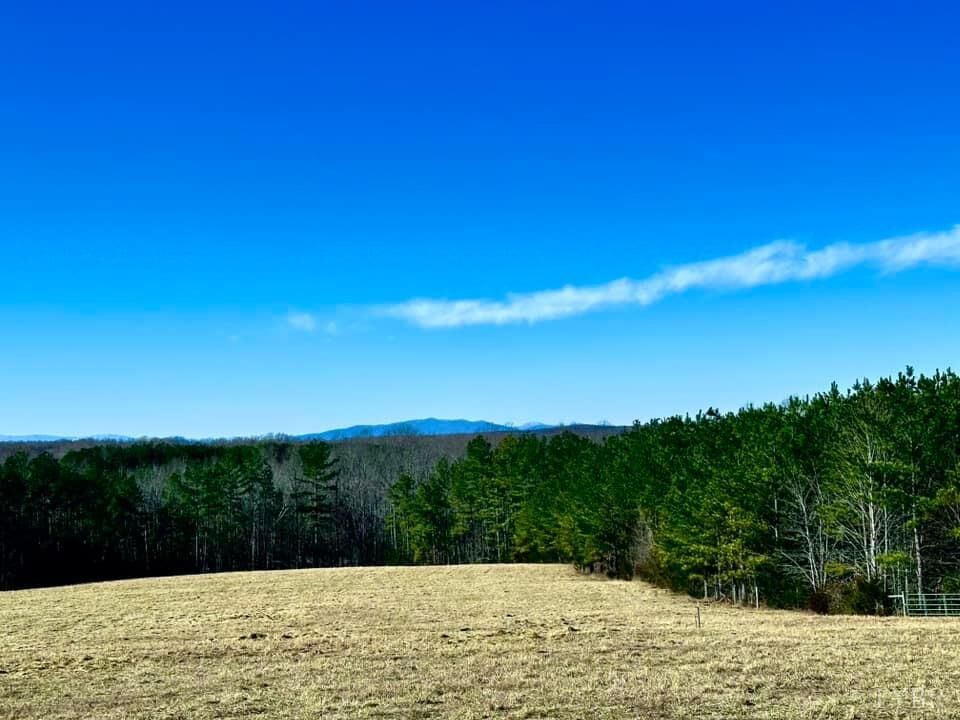 Property Photo:  0 Piney Mountain Road  VA 24522 