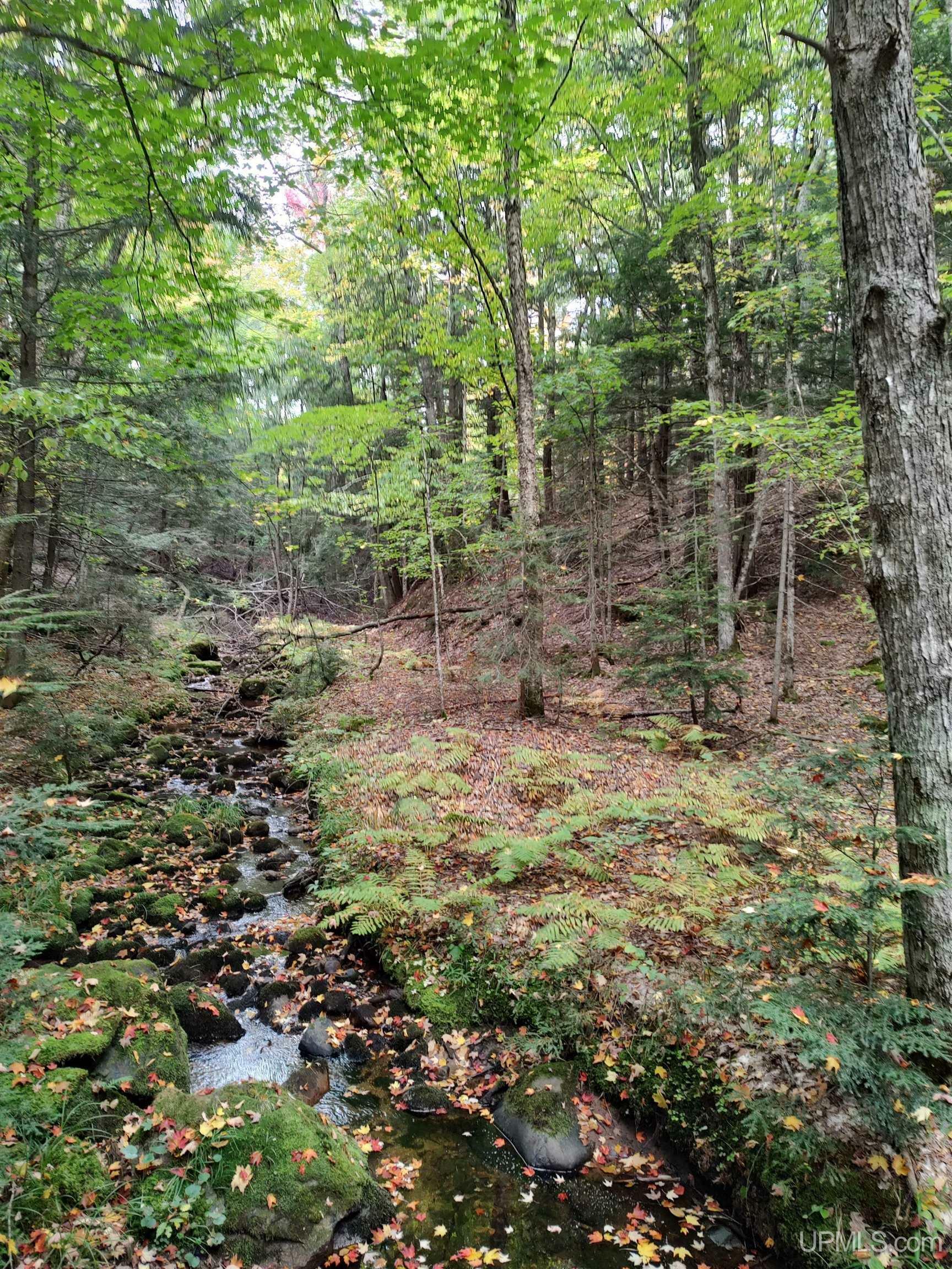Property Photo: 160 Acres Lost Creek Road MI 49855