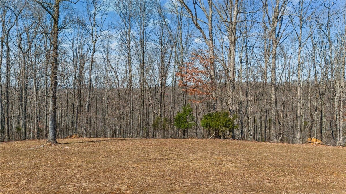 Property Photo: 0 Rustic Valley Drive TN 37185