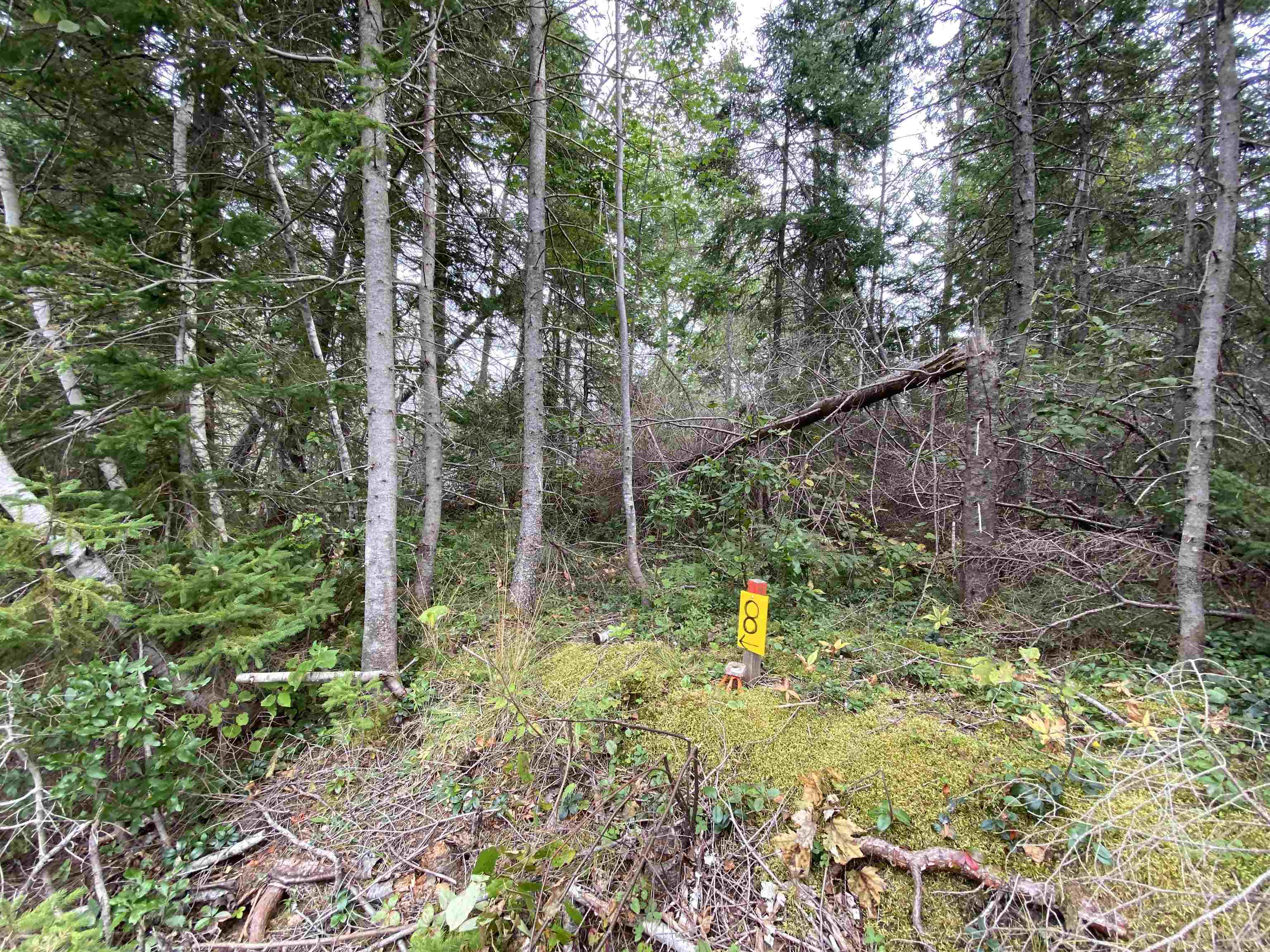 Photo de la propriété: Lot 8 Floating Bridge Road PE C0A 1W0
